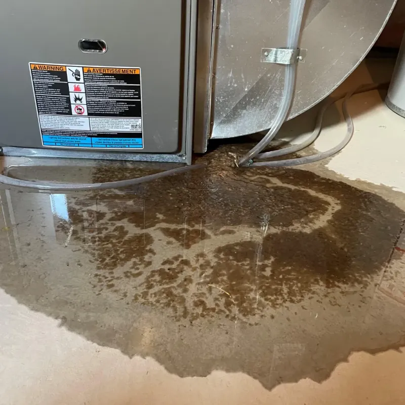 Appliance Leak Cleanup in Caldwell County, TX